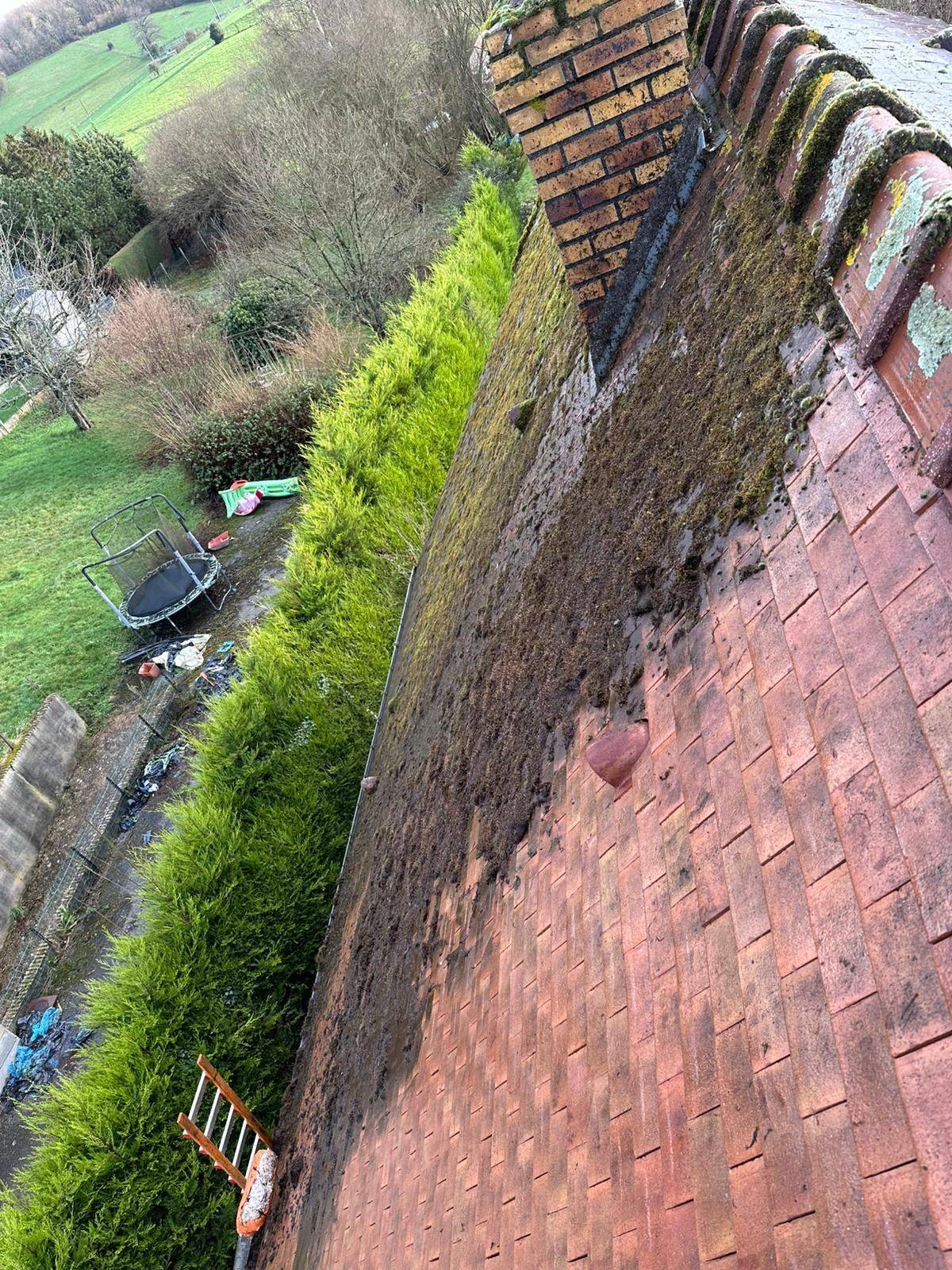 Devis pour le nettoyage et le démoussage de toiture en terre cuite à Fauville en Caux 76 : solution respectueuse et efficace