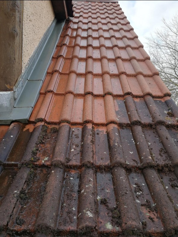 Société spécialisée en nettoyage de toiture pour les copropriétés situées près de Fécamp 76