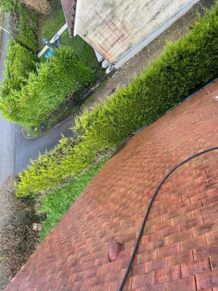 Devis pour le nettoyage et le démoussage de toiture en terre cuite à Fauville en Caux 76 : solution respectueuse et efficace