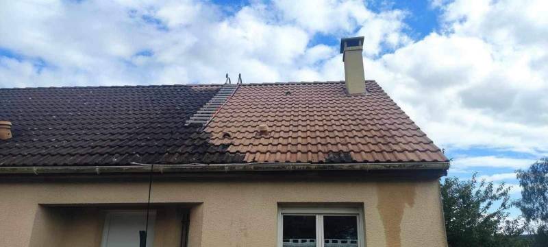 Professionnels experts du nettoyage et de l'entretien des surfaces extérieures : Restaurer, préserver, nettoyer à travers la vapeur basse pression au cœur de la conservation du patrimoine