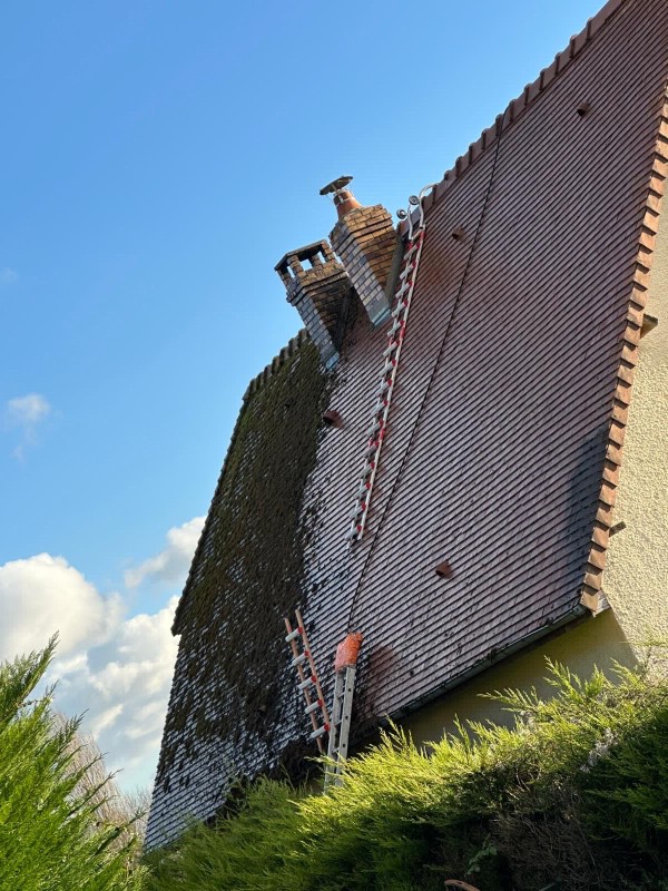 Nettoyage de Toiture et Façade à la Vapeur Basse Pression au Havre (76) et ses Alentours