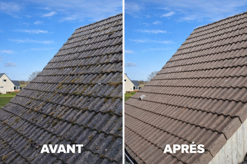 Entreprise locale de nettoyage au Havre et ses alentours 76 : Comment éliminer mousses, lichens et pollution grâce au nettoyage vapeur - Devis - Tarifs