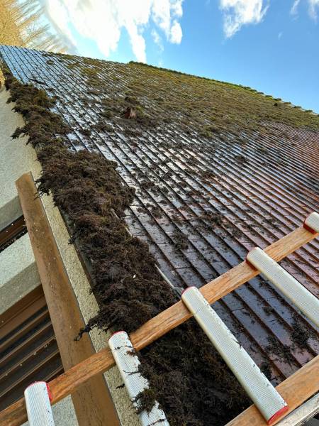 Entreprise spécialisée en nettoyage et démoussage de toiture à Yport 76 : entretien complet des toitures de maison et immeuble