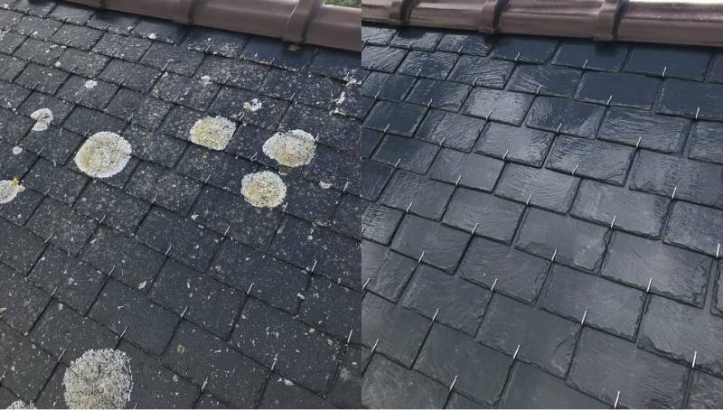 Professionnels du nettoyage de toitures en ardoises ou tuiles : Une solution douce pour toitures fragiles, efficace immédiatement et qui procure une protection durable