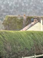 Nos prestations sur le secteur de Yvetot 76190 en Normandie